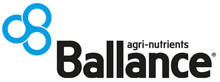 Ballance